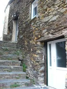 O Zimbrinho - Cabeça