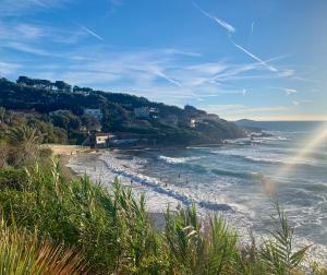 Appartements Studio Sanary-sur-Mer proche gare : photos des chambres