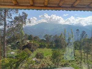 HOSTAL CASA DE GUADUA THE BAMBOO HOUSE