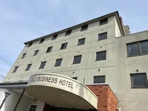 World Business Hotel - Ači