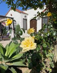 The Heart of Belmont Shore - Naples