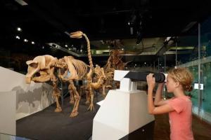 Central Parkside 5BR Home with Rumpus & King Bed