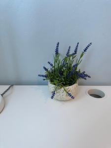 Noe Hotel One BedRoom #3