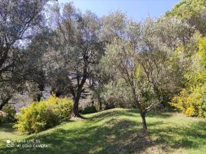 Maisons de vacances Pool House Renoir with private garden : photos des chambres