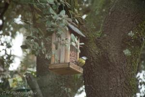 B&B / Chambres d'hotes Santolines en Provence : photos des chambres