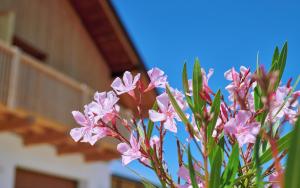Ferienwohnung Zimmer Tittmoning Stadtplatz 27