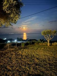 Enjoy resort with sea view