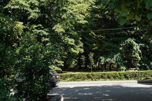 Bajka Banja Koviljača