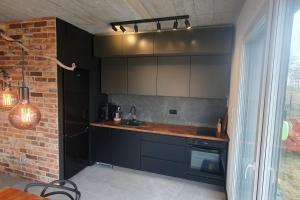 Apartament przy jeziorze w Pszczewie