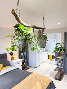 Aplanty Studio in the Orchard