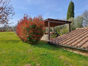 CASA VACANZE LOLIVO