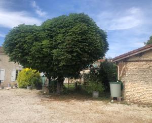 Maisons de vacances La Gravelle : photos des chambres