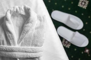 Comfort Single Room with Wellness Access room in Lazensky Hotel Smetana - Vysehrad