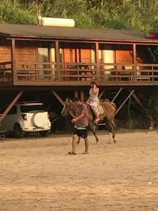 Equestrian and Beach Club - Giriş
