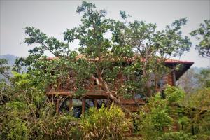 Zen Cafe Countryside Retreat