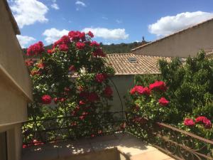 Appartements Holidays in Lagrasse : photos des chambres