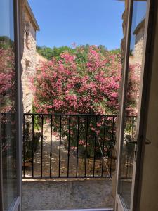 Appartements Holidays in Lagrasse : photos des chambres