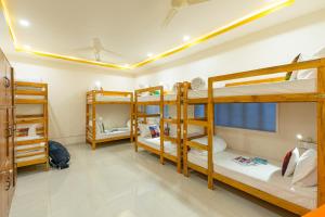 The Social Stays Jaipur