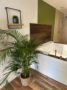 Jungle room