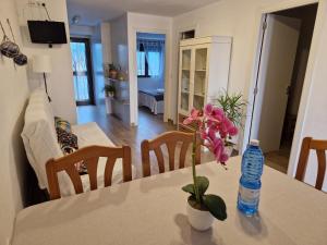 BeachSide Apartments Peñiscola