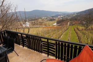 Vineyard cottage Cvitkovič