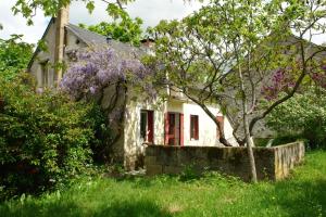 Appartements Lovely rural and quiet farmhouse with natural swimming lake : photos des chambres