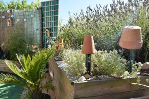 Maisons de vacances Blaz an Holen - Maison avec jardin a Guimaec : photos des chambres