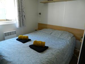 mobil home 562 3 ch proche forêt village 4 étoiles Siblu La Reserve