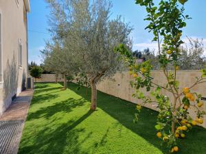 Seashells Apartments Tribunj