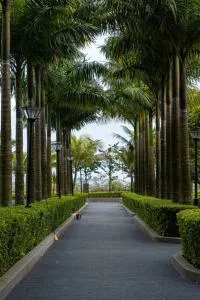 Cozy couple apartment suite - Kampong Lunchu