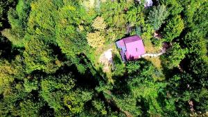 Mystically Wood House in The Forest