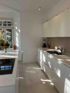 Laurelia Suites