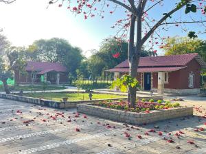 Book Rooms & Villa- Bairagarh Living Farm Stay