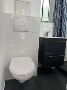 GREEN&PURPLE STUDIO 24-24 Access