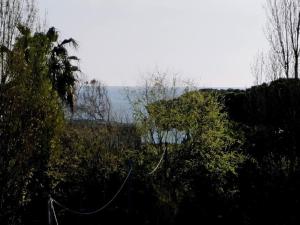 Regina Apartments img54