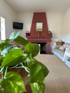 CORTIJO RURAL FLOR DE CAZALLA