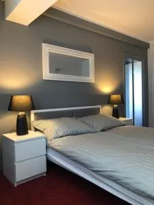 Apartament Rezydencja Przy Młynie - 乔左维尔考普尔斯基