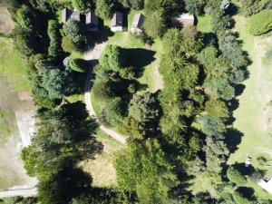 Bosque Patagonico Cabañas y Camping