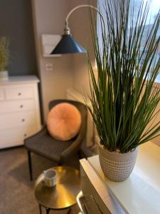 Lovely 1 bed Studio Apartment