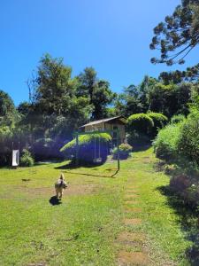 Casa em Campos do Jordão - 3 quartos, com churrasqueira