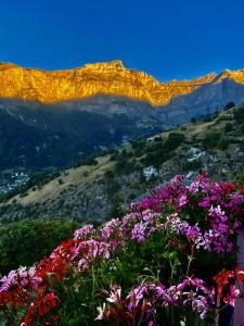 Verträumt schön zu jeder Jahreszeit Bergpanoramasicht