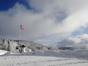 Le Locle : bel appartement chaleureux