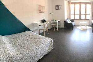 Appartements Saint Etienne Grand studio proche tout acces : photos des chambres