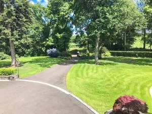 Blackberry Loft - a Hidden Gem - Templepatrick