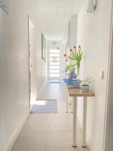 Cabedelo Seaside Guesthouse