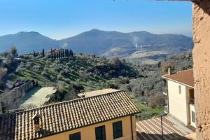 Torre delle rondini img20