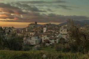 Torre delle rondini img36