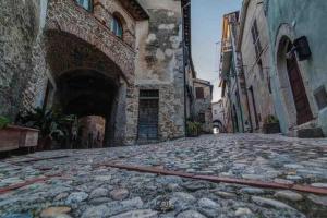 Torre delle rondini img46