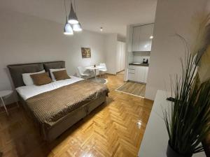 LL65 Apartmens Airport Nikola Tesla