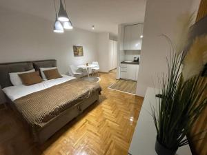 LL65 Apartmens Airport Nikola Tesla